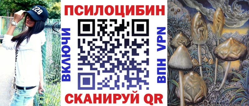 Галлюциногенные грибы ЛСД  Купить закладки  Гвардейск 